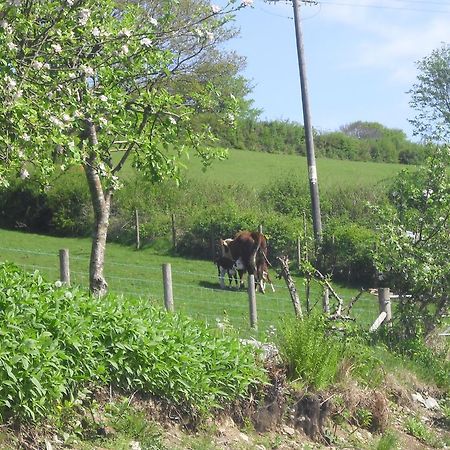 Staylittle Farm Dolgellau Ngoại thất bức ảnh