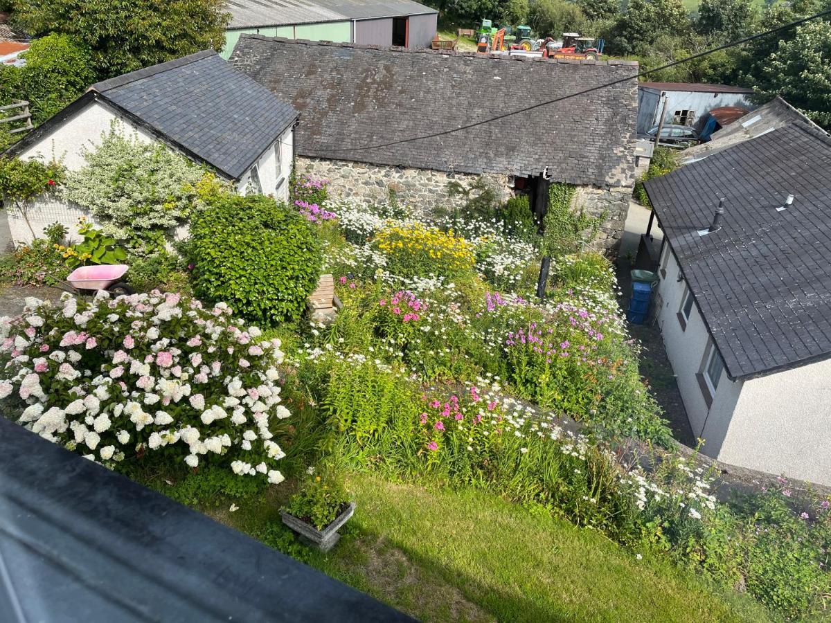 Staylittle Farm Dolgellau Ngoại thất bức ảnh